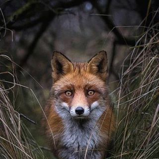 Profile Picture of Brian Willoughby (@brian.willoughby.777) on Facebook