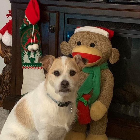 Profile Picture of Tony Schoonover (@tony3360) on Poshmark