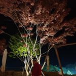 Profile Picture of Jay Jaehyuk Chung (@jay_chung24) on Instagram