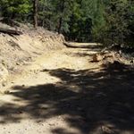 Profile Picture of Steve Merritt (@merrittman5) on Instagram