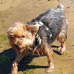 Profile Picture of Jean-paul Kreitz (@jeanpaulkreitz) on Instagram