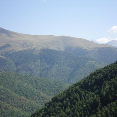 Jaclyn Ball - Twitter Profile Picture of Jaclyn Ball (@blackbambi1) on Twitter