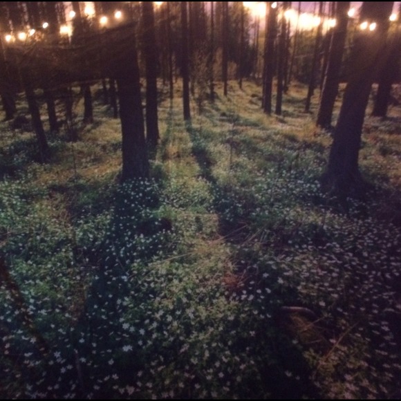 Kendall Yarbrough - Poshmark Profile Picture of Kendall Yarbrough (@kennz) on Poshmark