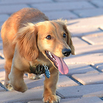 Profile Picture of Benjamin Elder (@Benjamin C Elder) on Flickr