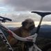Profile Picture of Peter Mollison (@peter.mollison.9) on Facebook