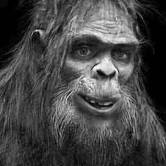 Profile Picture of mikeheinen1 (@mikeheinen1) on Tiktok