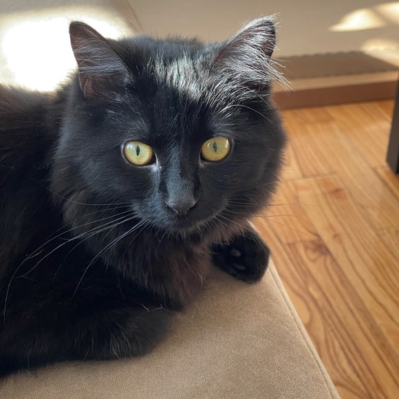 Profile Picture of Jorge Ballesteros (@jorgeballest913) on Poshmark