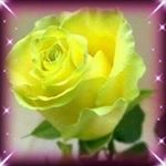 Profile Picture of Tudoran Maria (@dantuboran) on Instagram