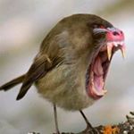 Profile Picture of Sergey Vasilyev (@vsa.gvgold) on Instagram