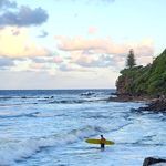 Profile Picture of My Moffat, Shelly and Dicky (@mymoffatshellyanddicky) on Instagram