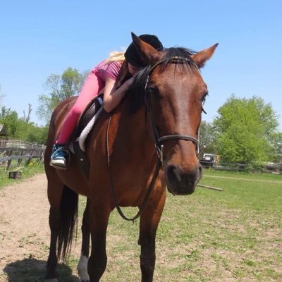 Profile Picture of Paige (@PaigenMoe) on Twitter