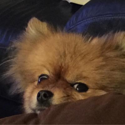 Profile Picture of Steve Ruben (@steveruben) on Twitter