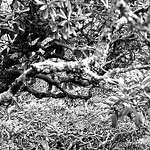 Profile Picture of John Preston (@JohnP142011) on Flickr