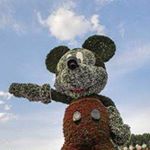 Profile Picture of Jacob Morin (@jacob_morin13) on Instagram