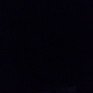 Profile Picture of Bo  Huang (@bohuang13) on Twitter