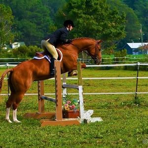 Profile Picture of Jennifer Putz (@summersjae) on Myspace