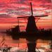Profile Picture of Thomas Weninger (@thomas.weninger.146) on Facebook