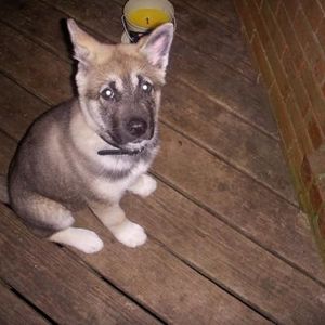 Profile Picture of Cory Hutchison (@225220386) on Myspace