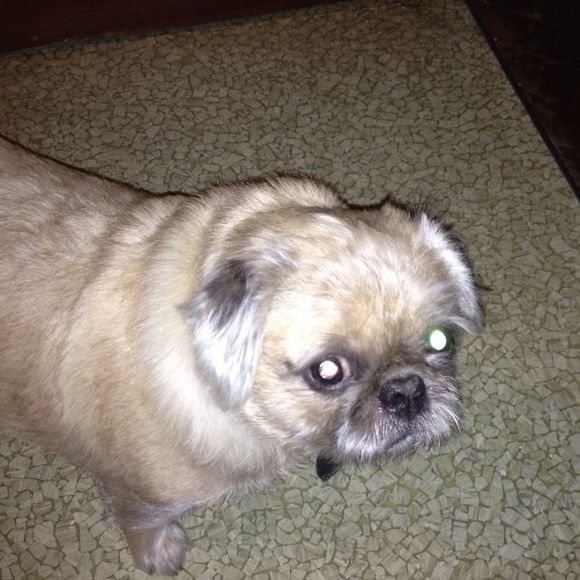 Profile Picture of Roberta Bryson (@slotplayerrobin) on Poshmark