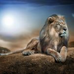 Petra Müllerleile - Instagram Profile Picture of Petra Müllerleile (@petramullerleile) on Instagram