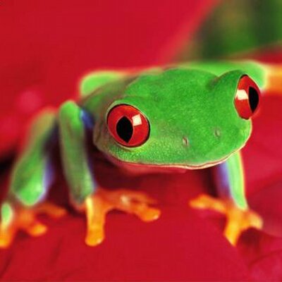 Profile Picture of Scott Pritchard (@Scott_Pritchard) on Twitter