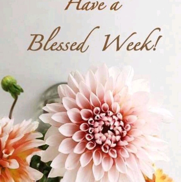 Profile Picture of Nataliya Gmyr (@natagmyr) on Poshmark