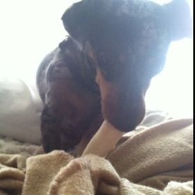 Profile Picture of Alex Freudenberg (@alexjewel) on Pinterest