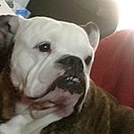 Profile Picture of bob (@free_sex_hookupz) on Instagram