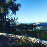 Hayden Coe - Instagram Profile Picture of Hayden Coe (@small_coey) on Instagram