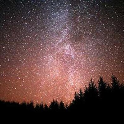 Ashlynn Payne - Twitter Profile Picture of Ashlynn Payne (@AshlynnRaePayne) on Twitter