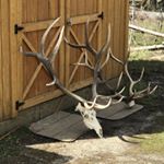 Profile Picture of Josh Derrick (@josh.derrick.963) on Instagram