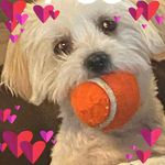 Profile Picture of Cheryl Case Shutts (@cherylcaseshutts) on Instagram