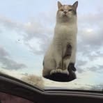 Profile Picture of Olek Polczynski (@James.Aulner.122) on Facebook