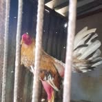 Profile Picture of Tony Carvajal (@Tony-Carvajal) on Facebook