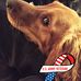 Profile Picture of George Anderson (@george.anderson.12764) on Facebook