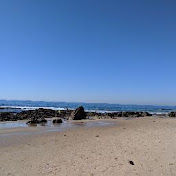 Profile Picture of April Thompson (@aprilthompson6103) on Youtube