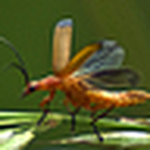 Profile Picture of Mark Rose (@mr photos1) on Flickr