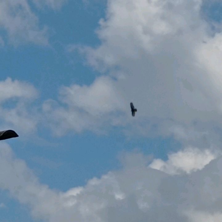 Profile Picture of Hazel Gonzalez (@hazelgonzalez34) on Tiktok