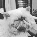 Profile Picture of Adam Söderström (@adamsooderstrom) on Instagram