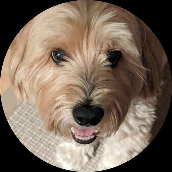 Profile Picture of Riversider Riversider (@chbuford) on Poshmark