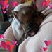 Profile Picture of Maximus Seim (@maximus.seim) on Facebook
