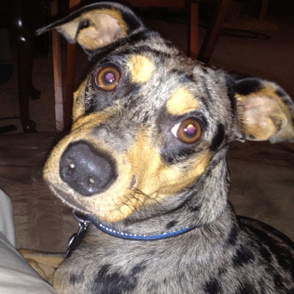 Profile Picture of Dillon Avery (@dillavery) on Poshmark