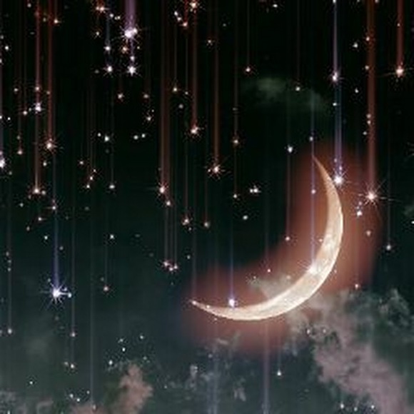 Profile Picture of Megan Upham (@meganupham01) on Poshmark