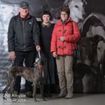 Profile Picture of marc aertssens (@marc.aertssens) on Instagram