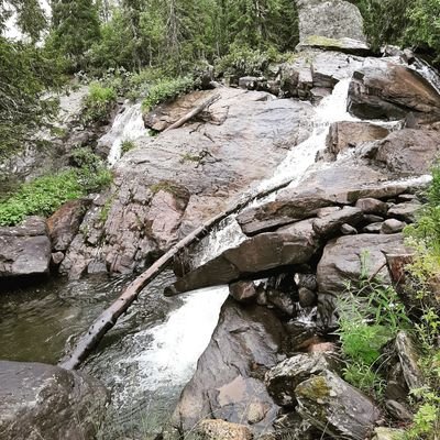 Profile Picture of Thomas Wessels (@ThomasWessels5) on Twitter