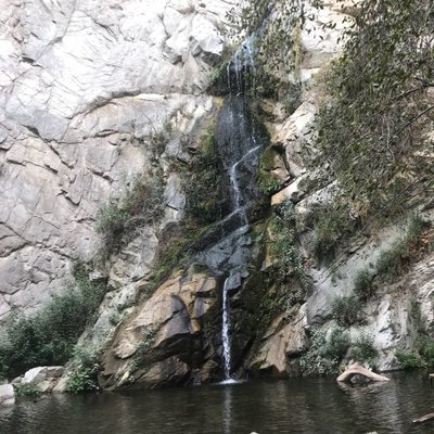 Profile Picture of William R. Baerg (@WilliamRBaerg) on Twitter