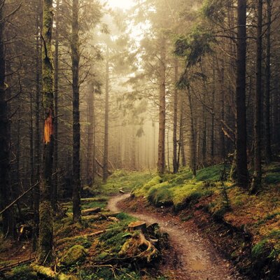 Profile Picture of Ted Gabriel (@tedgabriel) on Twitter