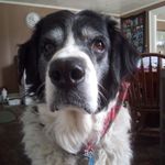 Jayne Parsons - Instagram Profile Picture of Jayne Parsons (@parsonsjayne) on Instagram