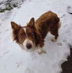 Profile Picture of Fritz Erismann (@Fritz-Erismann) on Facebook