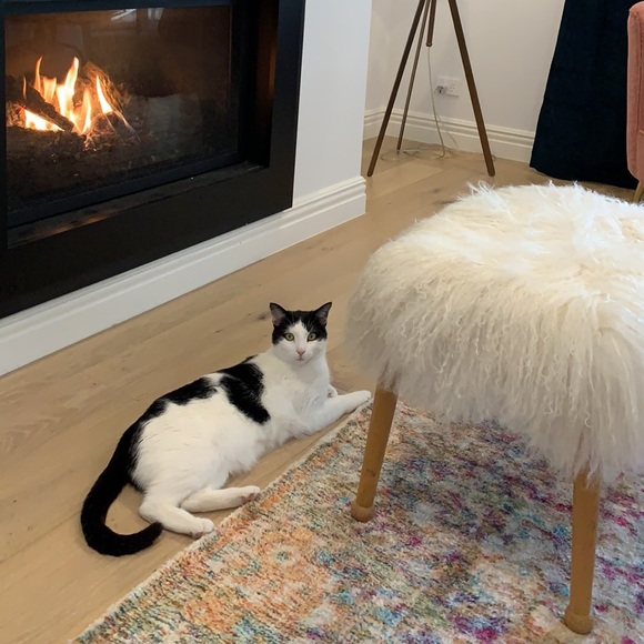 Profile Picture of Gillian Freeman (@gillianfreeman) on Poshmark